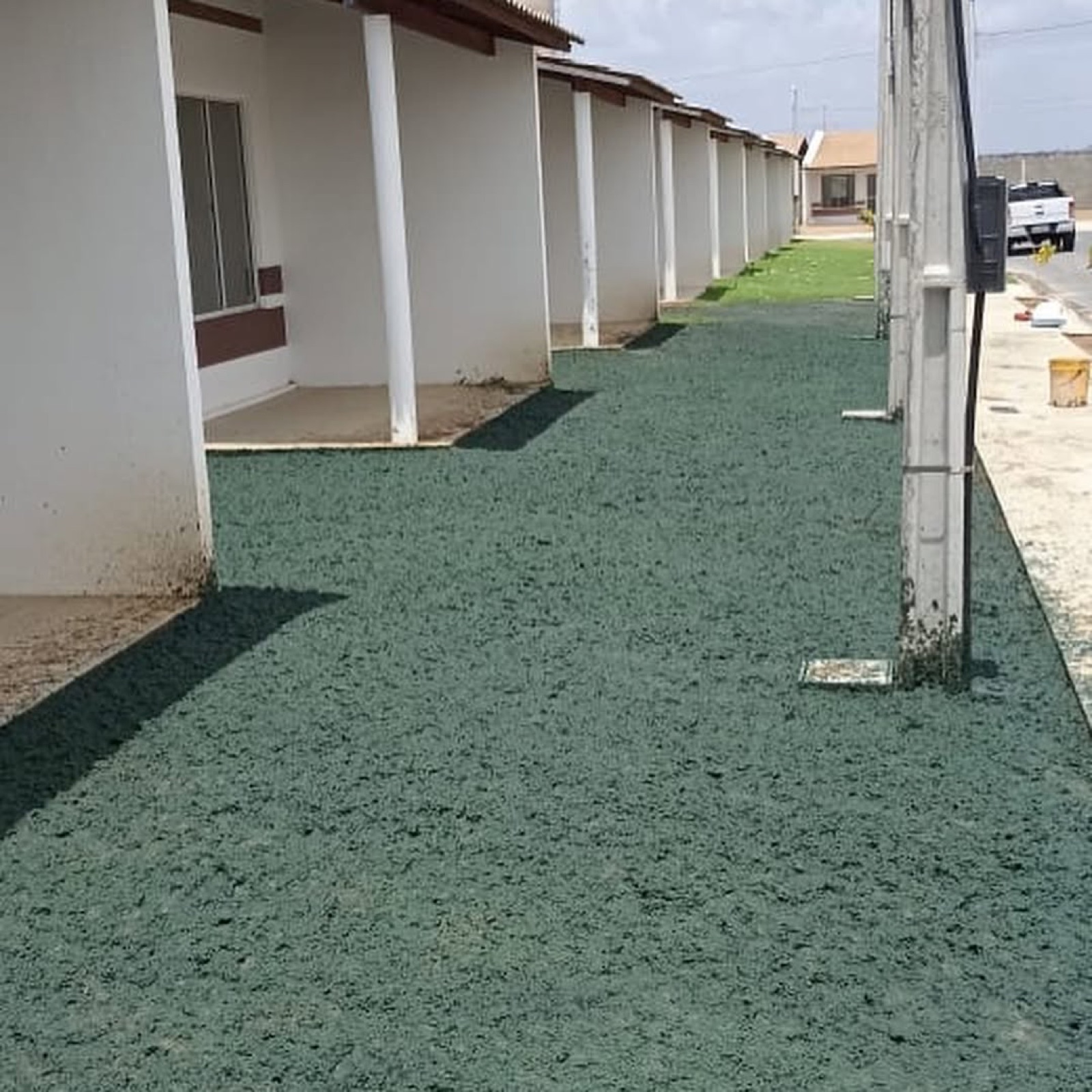 Terreno logo após aplicação da calda verde