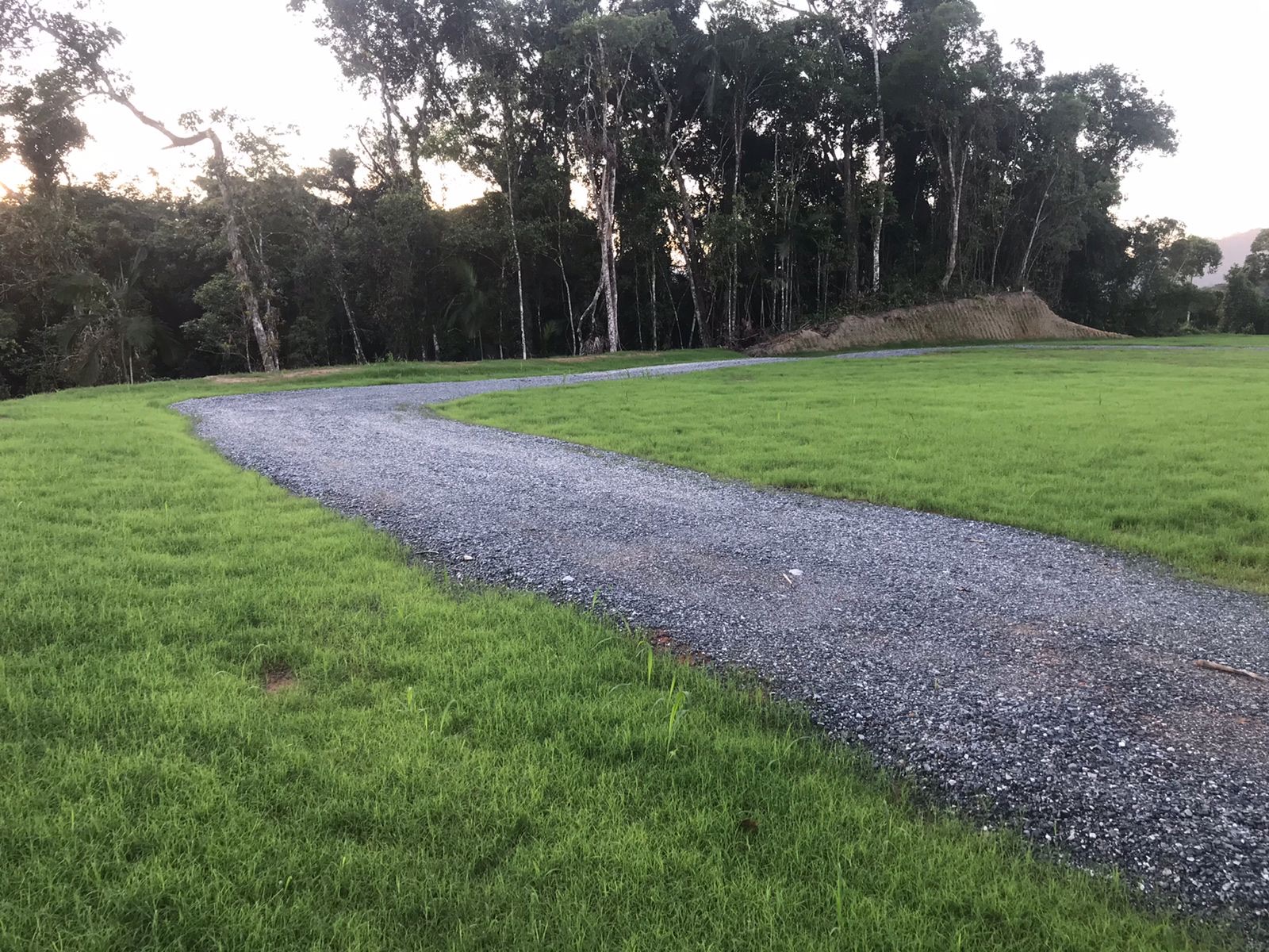 Campo aberto com cobertura verde por hidrossemeadura